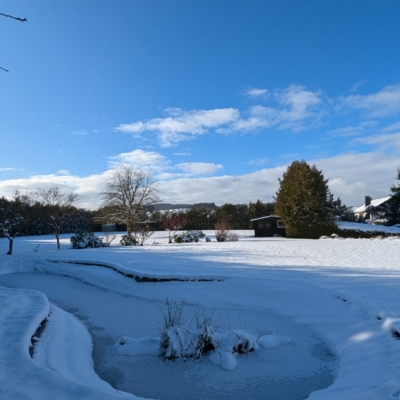 PXL_20250111_122355621